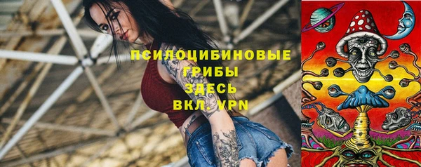 тгк Алексин