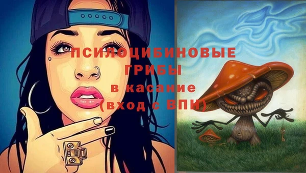 соль курить ск Алзамай