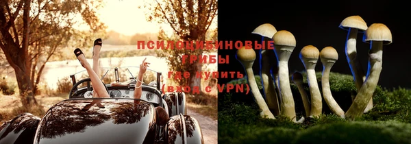 тгк Алексин