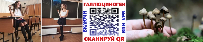 наркота  Тула  Псилоцибиновые грибы мухоморы 
